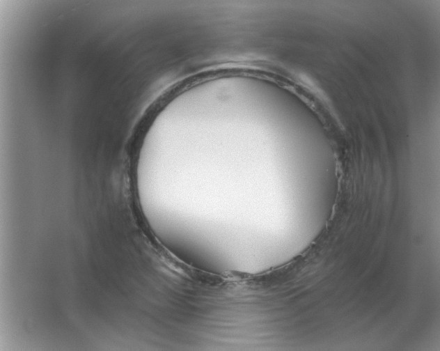 X0000063521360200602101940