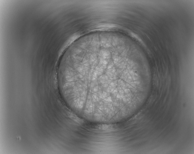 X0000063521362200602101940