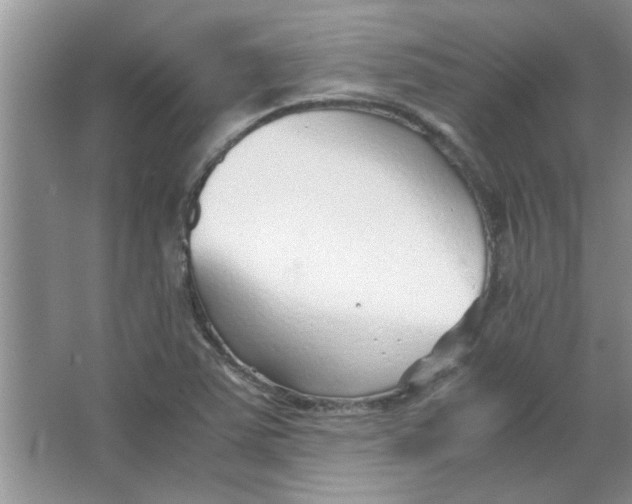 X0000063521363200602101940