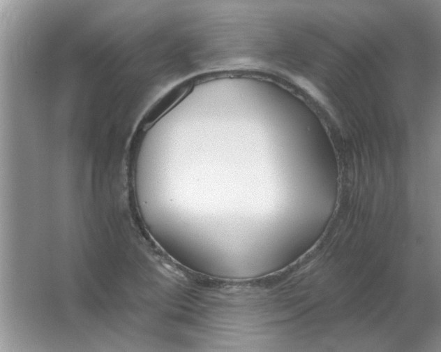 X0000063521364200602101940