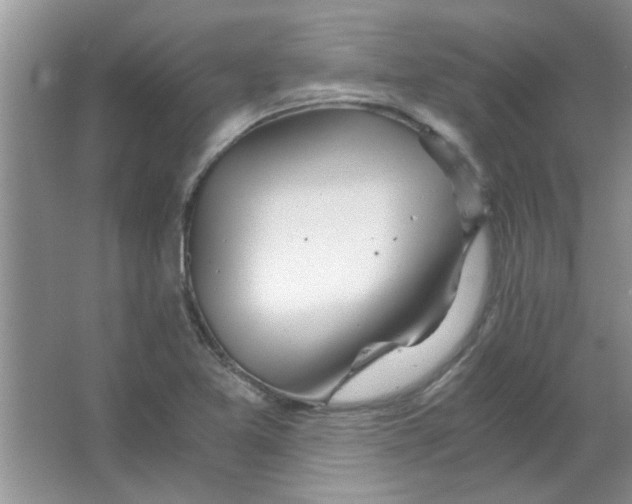 X0000063521365200602101940