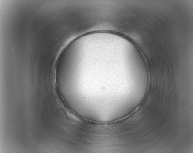 X0000063521366200602101940