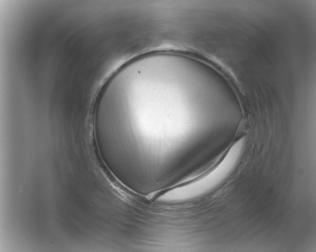 X0000063521367200602101940