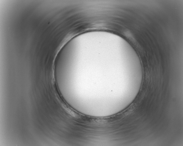 X0000063521370200602101940