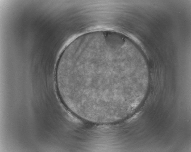 X0000063521373200602101940