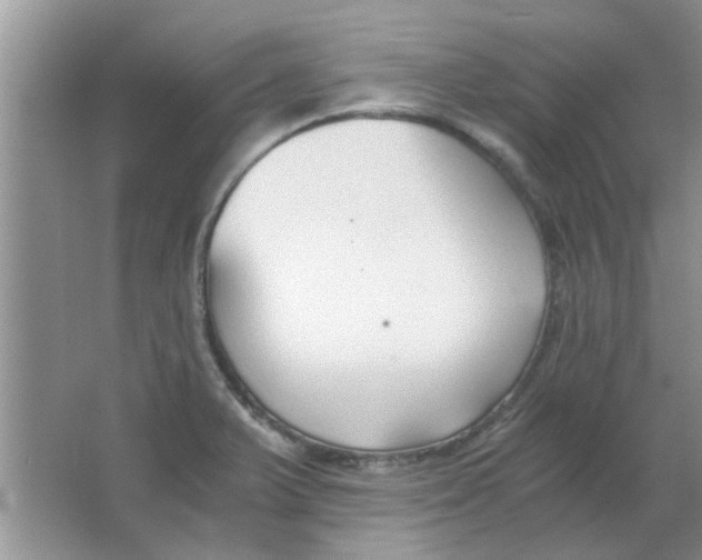 X0000063521375200602101940