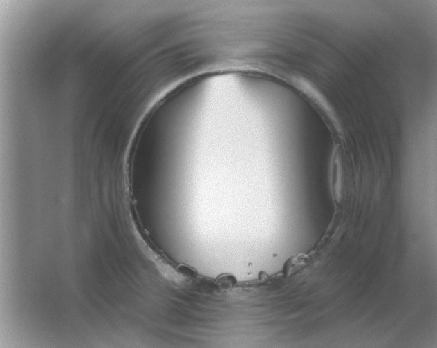 X0000063521380200602101940