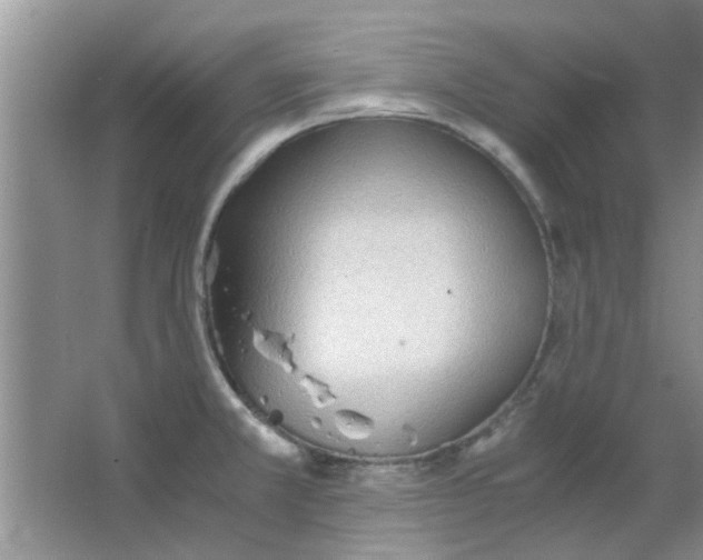 X0000063521381200602101940