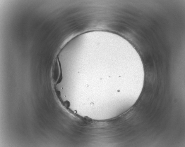 X0000063521382200602101940