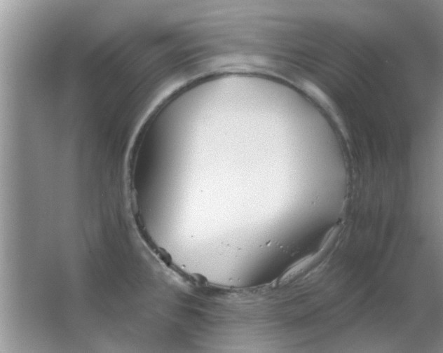 X0000063521384200602101940