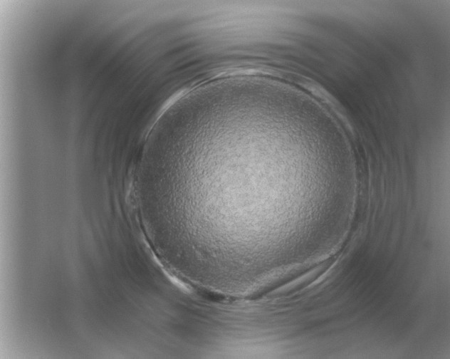 X0000063521385200602101940