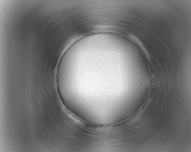 X0000063521386200602101940