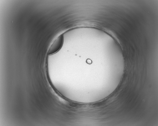 X0000063521387200602101940