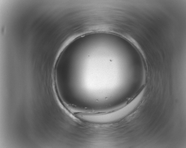 X0000063521389200602101940