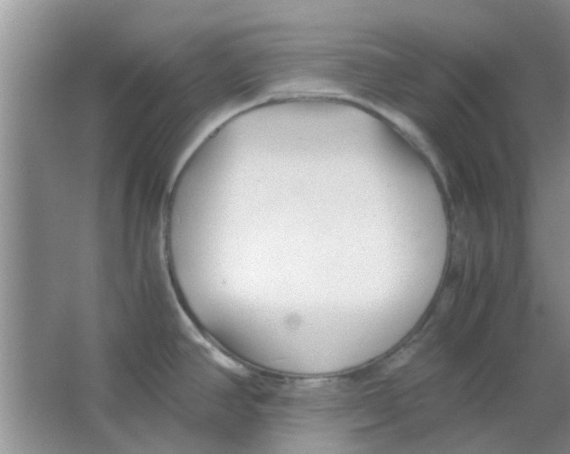 X0000063521390200602101940