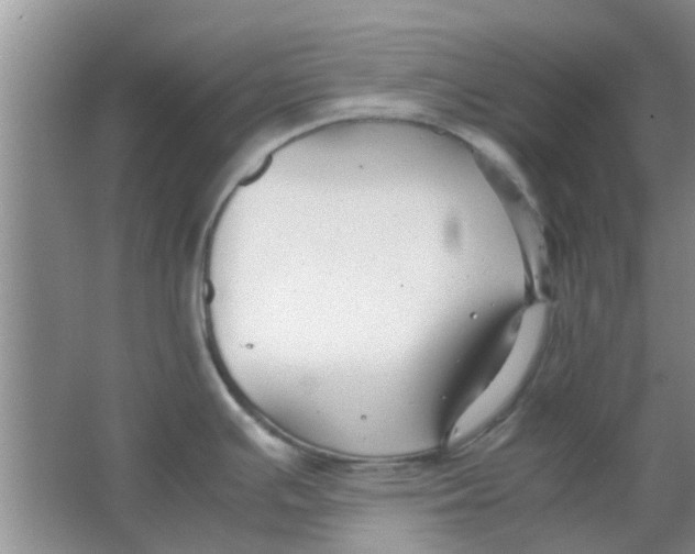 X0000063521391200602101940