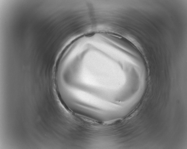 X0000063521392200602101940