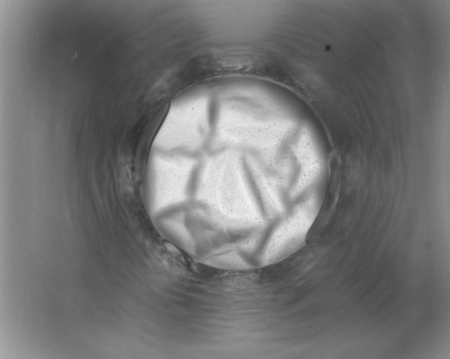 X0000063521394200602101939