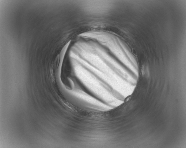 X0000063521396200602101939