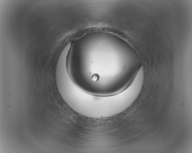 X0000063521398200602101939