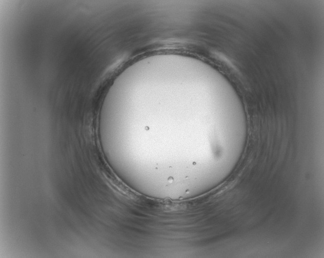 X0000063521403200602101939