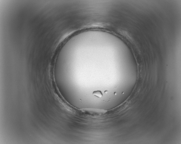 X0000063521404200602101939