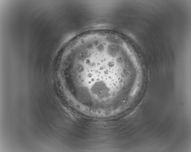 X0000063521405200602101939