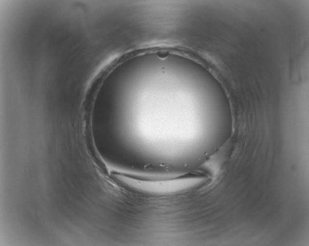 X0000063521406200602101939