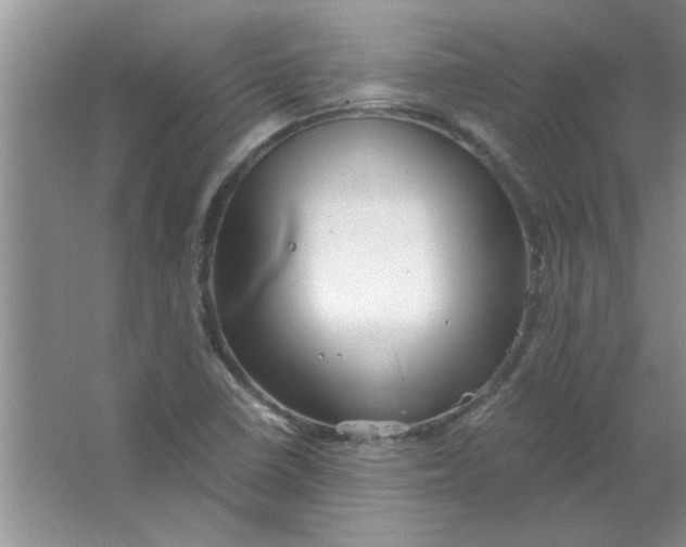 X0000063521410200602101939