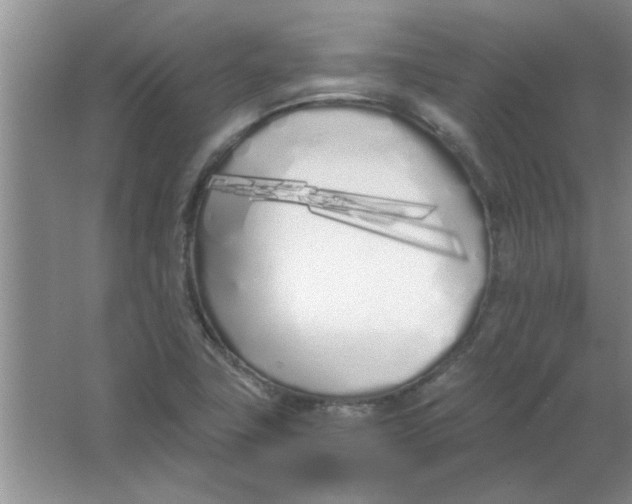 X0000063521411200602101939