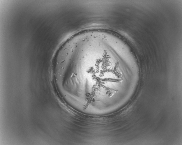 X0000063521413200602101939