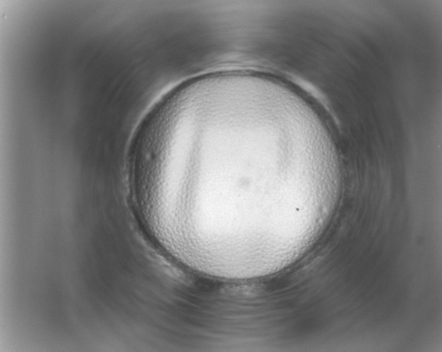 X0000063521415200602101939