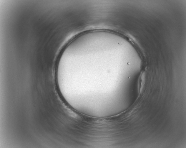 X0000063521416200602101939