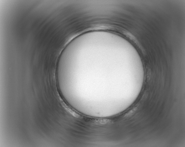 X0000063521417200602101939