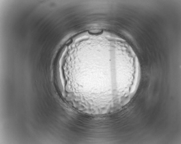 X0000063521419200602101940