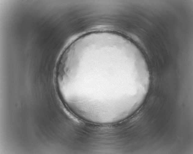 X0000063521421200602101940