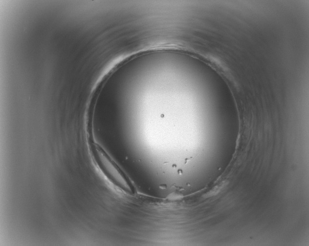 X0000063521422200602101940