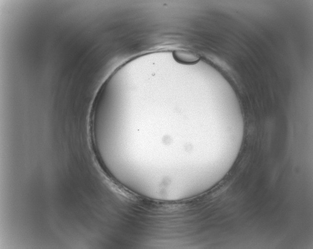 X0000063521423200602101940