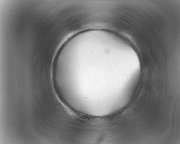 X0000063521424200602101940