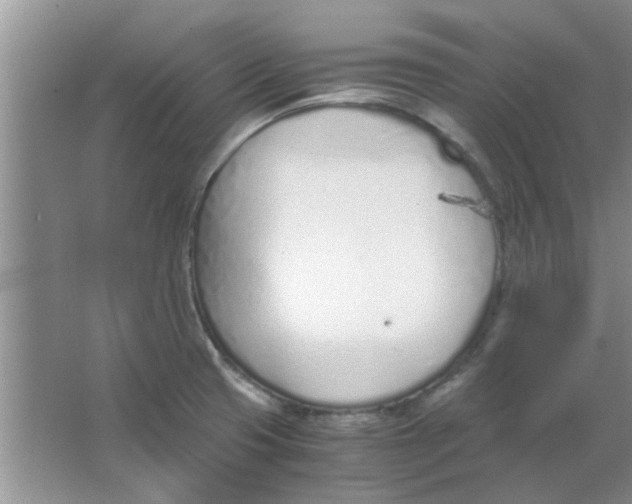 X0000063521425200602101940