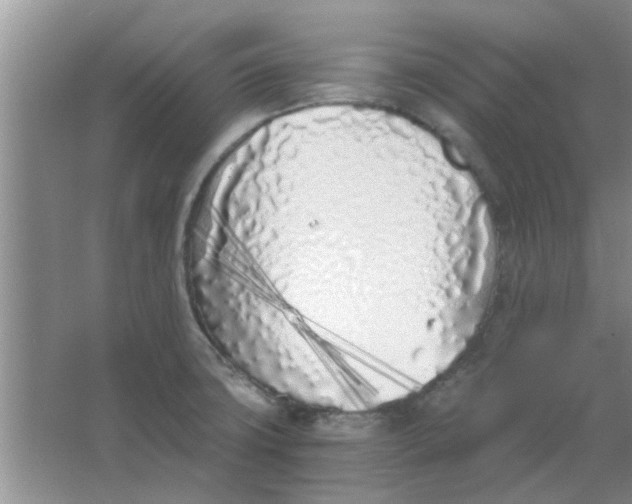 X0000063521427200602101940