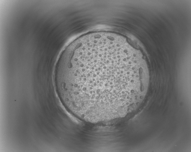 X0000063521429200602101940