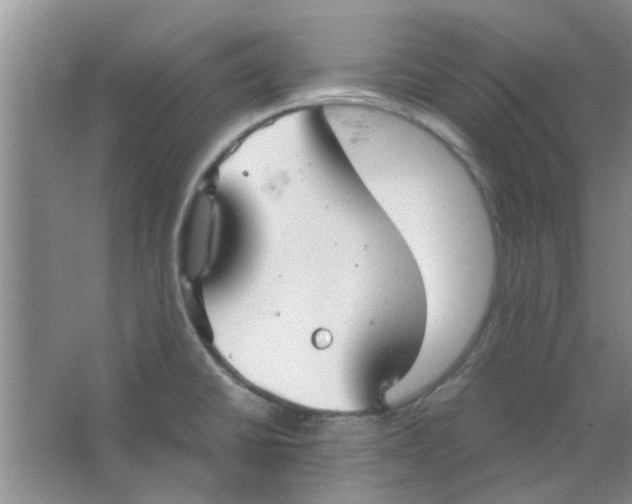 X0000063521430200602101940