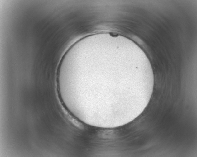 X0000063521431200602101940