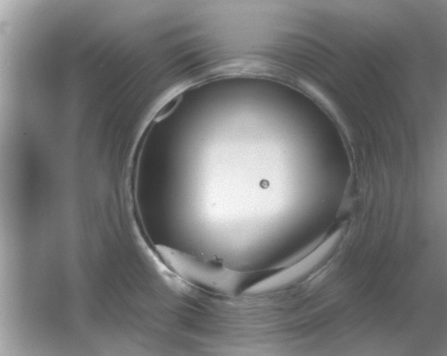 X0000063521434200602101940