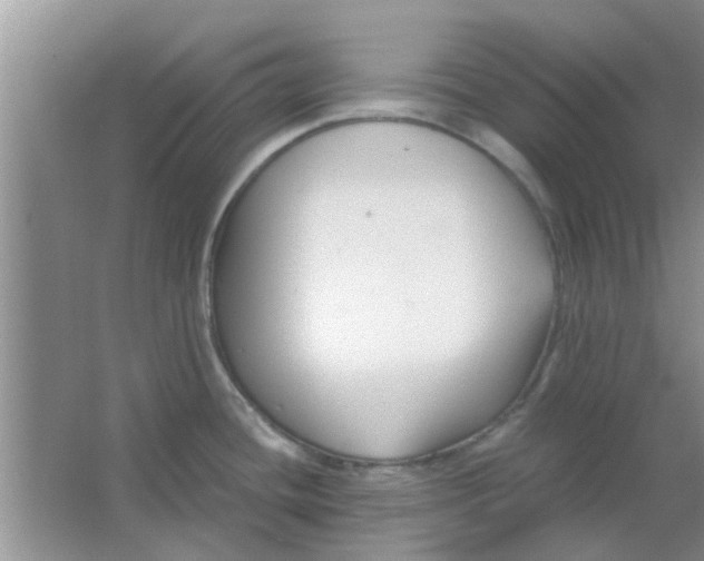 X0000063521436200602101940