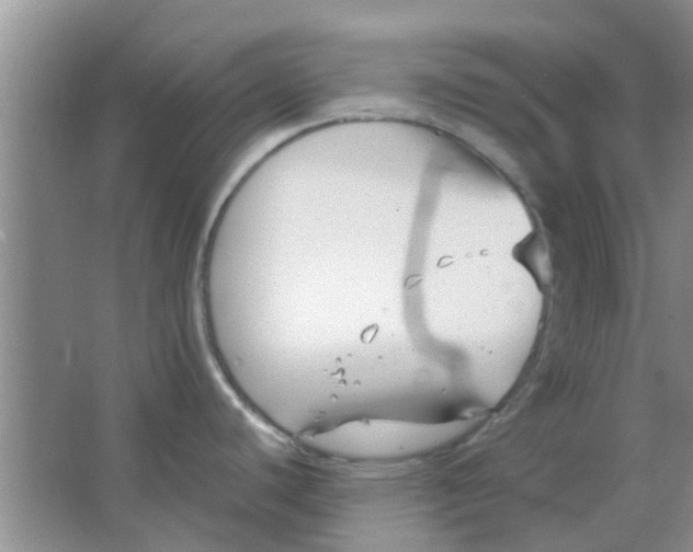 X0000063521440200602101940