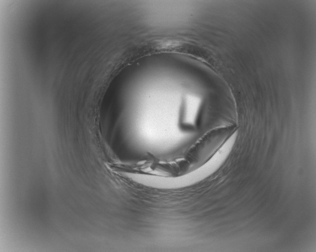 X0000063521441200602101939