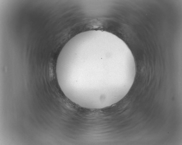 X0000063521442200602101939