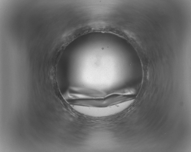 X0000063521445200602101939